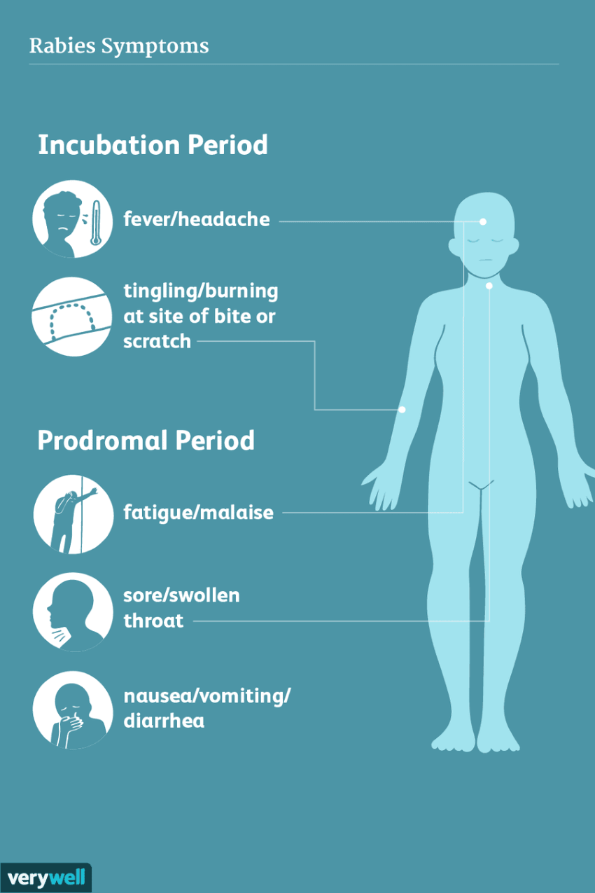 Image with Rabies Symptoms in a human